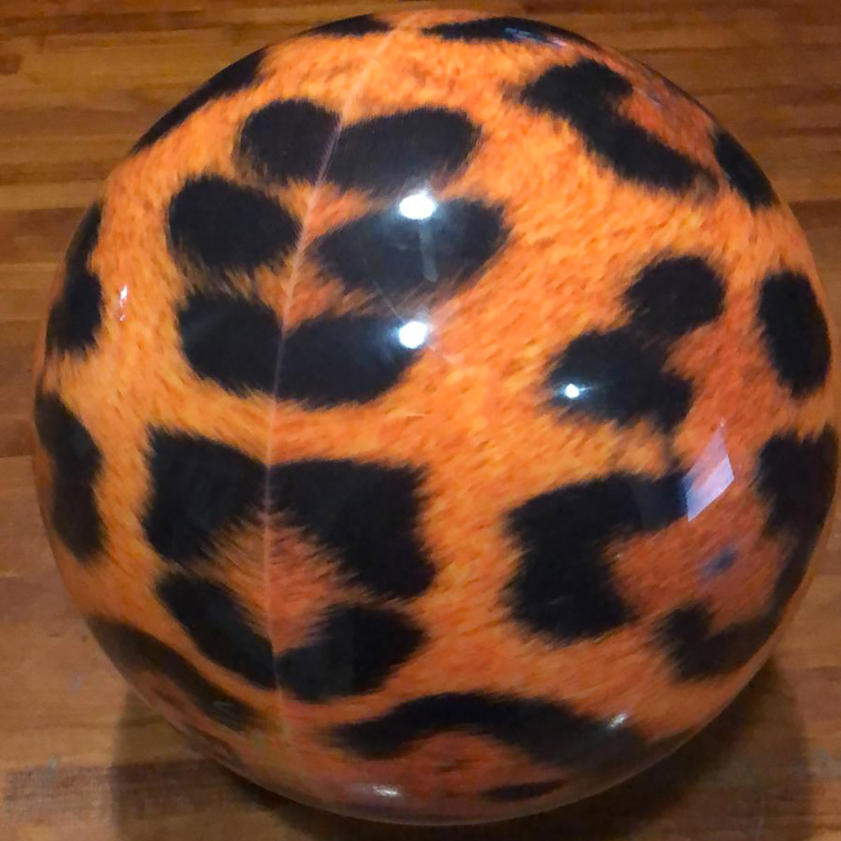 Boccia viz a ball brunswick leopard Sport Park Fano (PU)